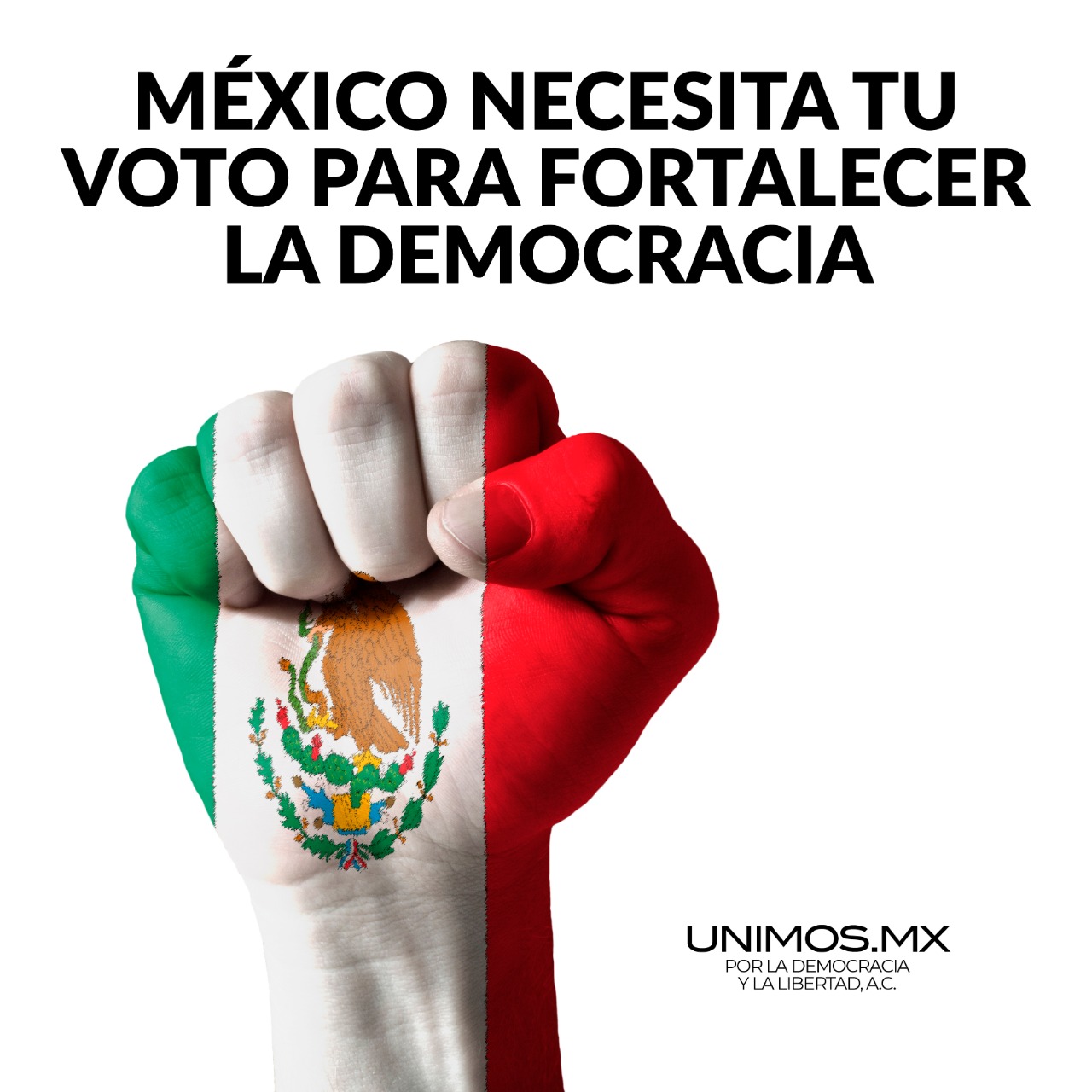 Si llevas 5, ganamos todos ¡VOTA!